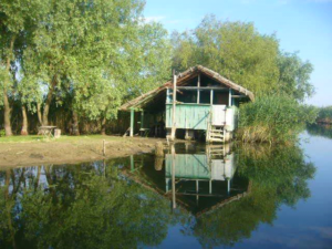 PlimbariInDeltaDunarii4