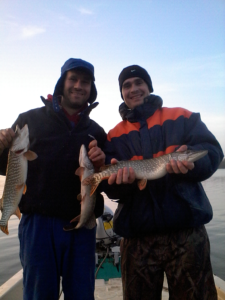 PlimbariInDeltaDunarii10