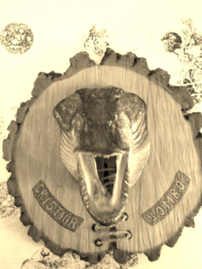 PlimbariInDeltaDunarii13