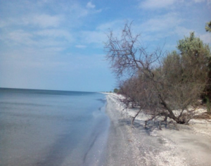 PlimbariInDeltaDunarii7