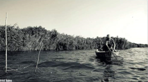 PlimbariInDeltaDunarii1